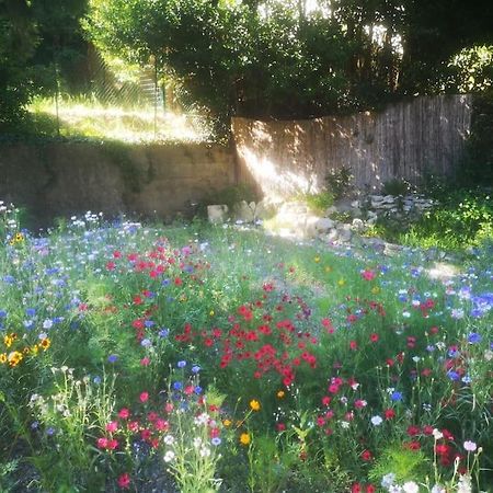 Belle Dependance De 30M2 Avec Terrasse Et Jardin Daire Villeneuve-lès-Avignon Dış mekan fotoğraf