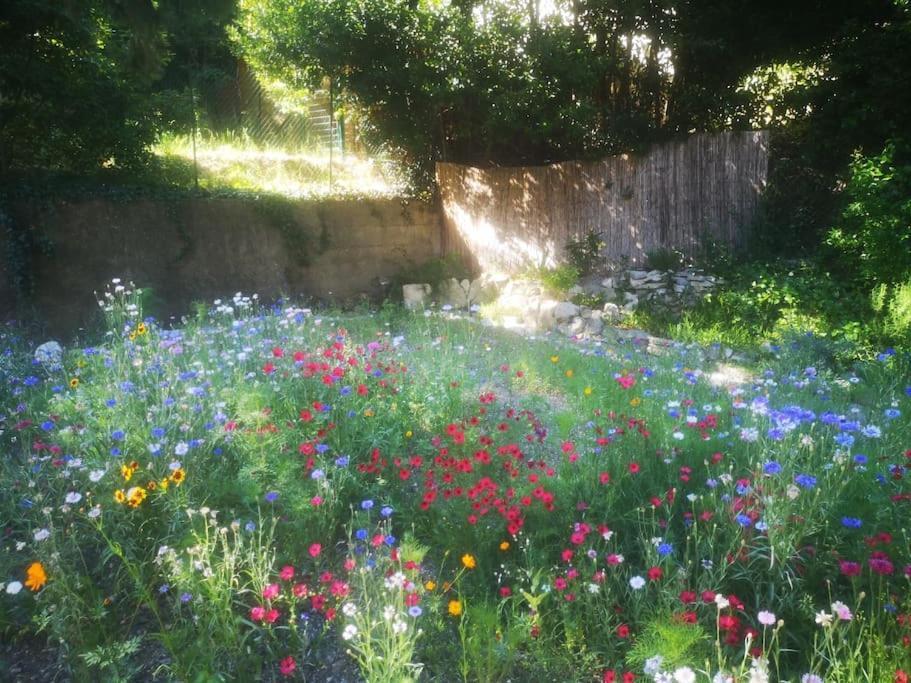 Belle Dependance De 30M2 Avec Terrasse Et Jardin Daire Villeneuve-lès-Avignon Dış mekan fotoğraf